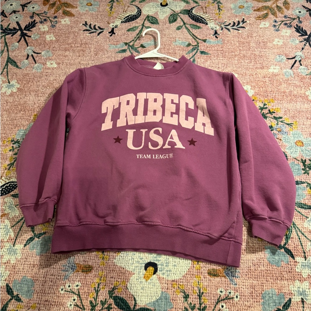 Zara Kids Purple Sweatshirt